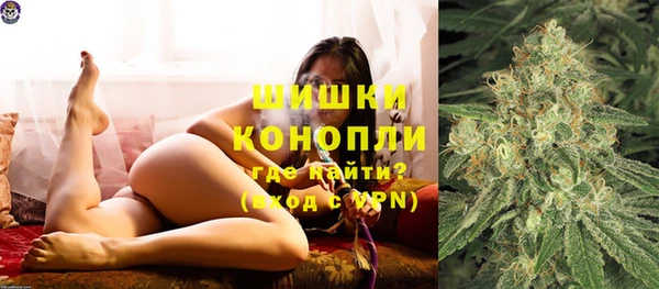 молекула духа Осинники