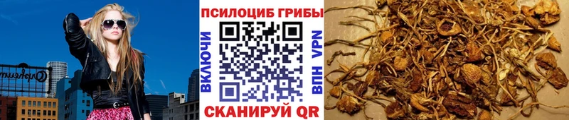 что такое наркотик  Сертолово  Псилоцибиновые грибы Psilocybine cubensis 