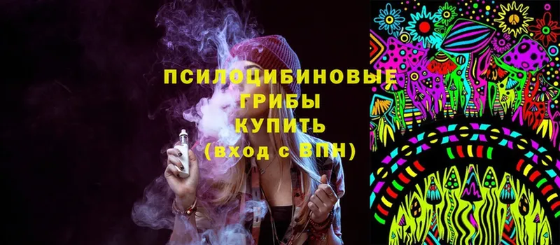 Псилоцибиновые грибы Psilocybine cubensis  мега зеркало  Сертолово 