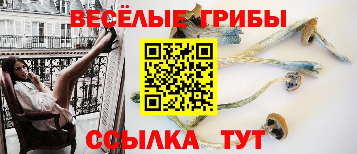 Псилоцибиновые грибы ЛСД Сертолово