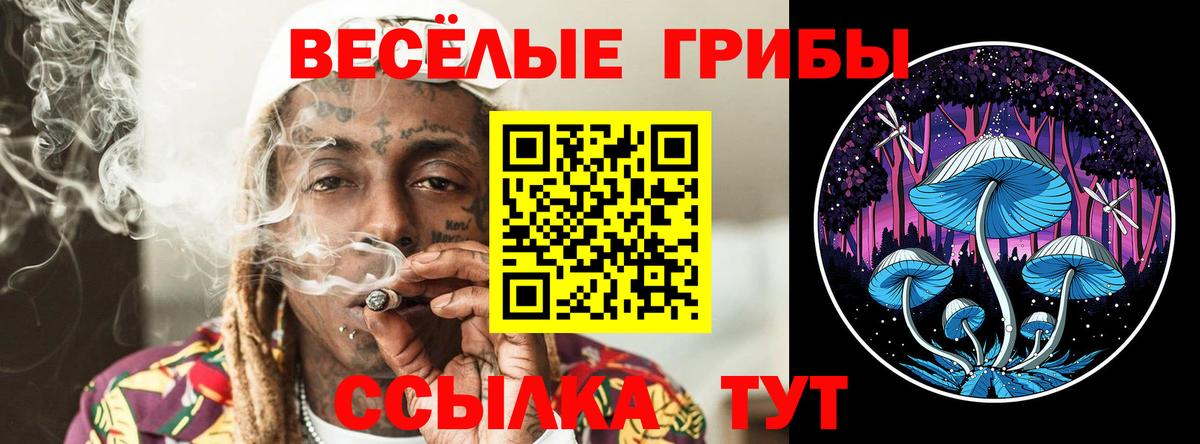 Галлюциногенные грибы Cubensis  Сертолово  Псилоцибиновые грибы GOLDEN TEACHER 