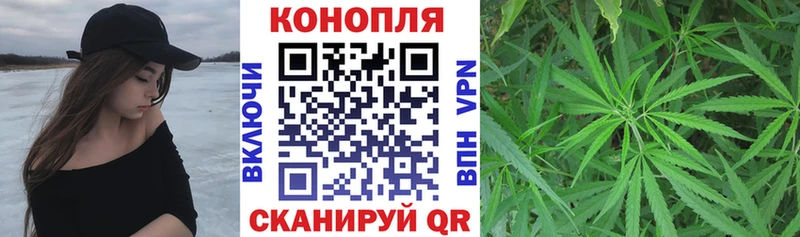 цена наркотик  Сертолово  Каннабис ГИДРОПОН 