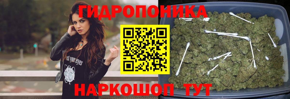 Канабис Ganja Сертолово